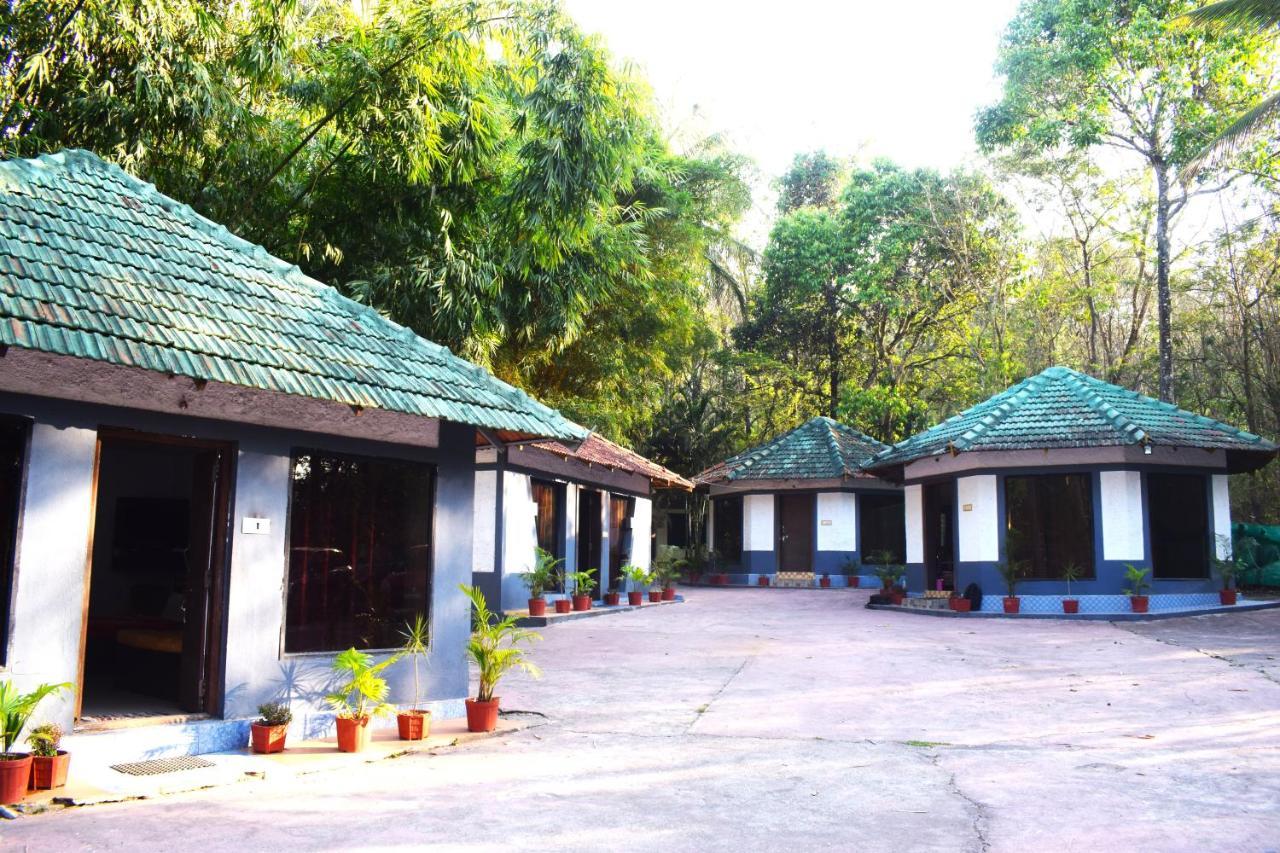 Staymaker Coorg Jungle Stay Resort Kushālnagar Esterno foto